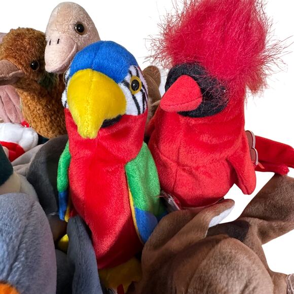 Ty Beanie Baby Lot of 15 Winged Animals Near Mint Condition Lot See Description - Picture 5 of 9